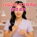 탑독네일 | 네일 국가자격증 합격비법·실전후기 공개