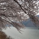 달창저수지 이미지