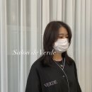 살롱드베르디