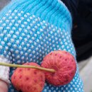 평화2리 이미지