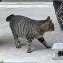 복권방쉼터 네이버블로그