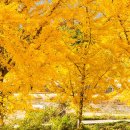 대해로 3 이미지