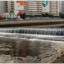 칠성시장(신천둔치) 이미지