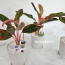 책소리교육연구소 이미지