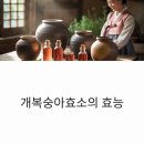 효소발효와 건강식이 | 개복숭아효소 효능