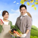 농업회사법인 주식회사 대한