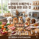 윤진행정사 이미지