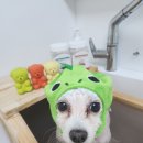 애플스파 이미지