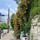 공원로352번길 이미지