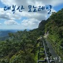 모노모텔 | 대봉산 모노레일 예약하기. 대봉산 천왕봉 소원바위 만나다.