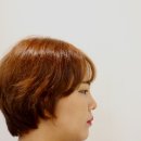 커티즘바이 이미지