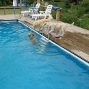 그랑샤리오 이미지