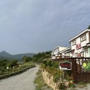 총각네애견 이미지