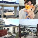 달성보민박하얀집 | [제주 애견동반 숙소] 협재해변 0초컷 독채 펜션 협재 하얀집 별채 후기