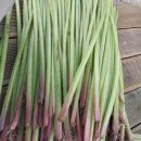 동창식당 이미지