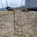 고성농장 이미지