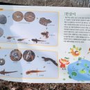 완산칠봉 유아숲체험원 이미지