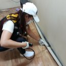 그린소독방역업체