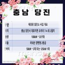 엔에스태양광발전소 이미지