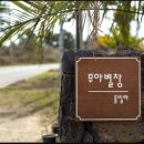 무아별장 이미지