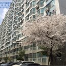 주식회사 아르정 이미지