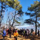 득수 | 앵봉산 회룡고조형 생기(生氣)의 자리를 걷다