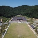 경주 벚꽃 개화시기 및 실시간 벚꽃 상황
