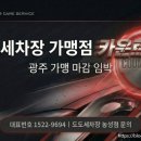 용봉도도 네이버블로그