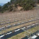 똘배농장 이미지