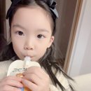 안심영농조합법인 | 황금밭영농조합법인 곰도리 배즙 후기｜8살 아이가 루틴으로 마시는 배도라지즙 이야기