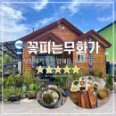 신안우럭 | [신안맛집] 보양식맛집으로 추천, 압해읍 ‘꽃피는무화가‘