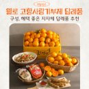 주식회사 영주청정한우 | 고향사랑기부제 웰로 wello 추천 답례품 정리했어요