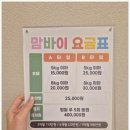 서면애견미용 맘바이 강아지 미용실 이미지