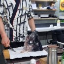 3740 | [금천구 독산동 홍참치앤초밥] 참치 맛집,복어 초밥,내돈내산 후기