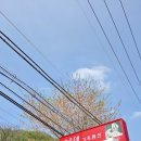 로뎅853-1 이미지