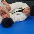 BD 주짓수 이미지