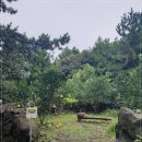 영분농장 이미지