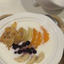 조동물병원 | 군포 산후조리원 베네라 9박 10일 조리원 후기