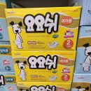 씨유펫영등포