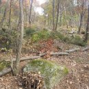 노다지농장 이미지