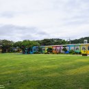 무지개가 피어나는 이미지