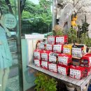 최군안경 이미지