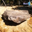 미래고속관광(주) 이미지
