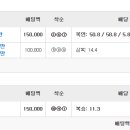 (주)플라이닥터 | 2025년 8월 9일~10일 부경경마 후기