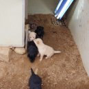 길산농장 이미지