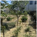 평택시노인전문요양원 이미지