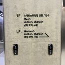 스퍼트스위밍랩 이미지