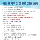섬약국 이미지