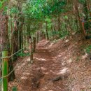 저지오름 이미지