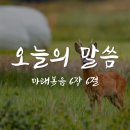 복음창고 이미지